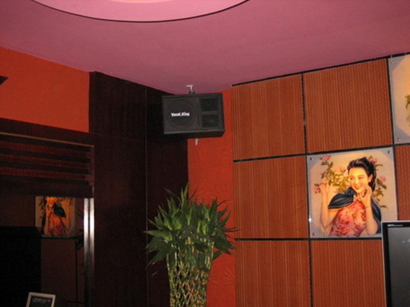 山东东营新悦大酒店新天地KTV 山东东营新悦大酒店新天地KTV